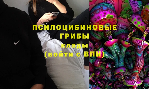 PSILOCYBIN Алексин