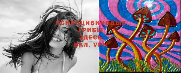 меф Алзамай