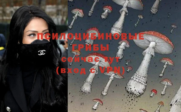 Альфа ПВП Аркадак